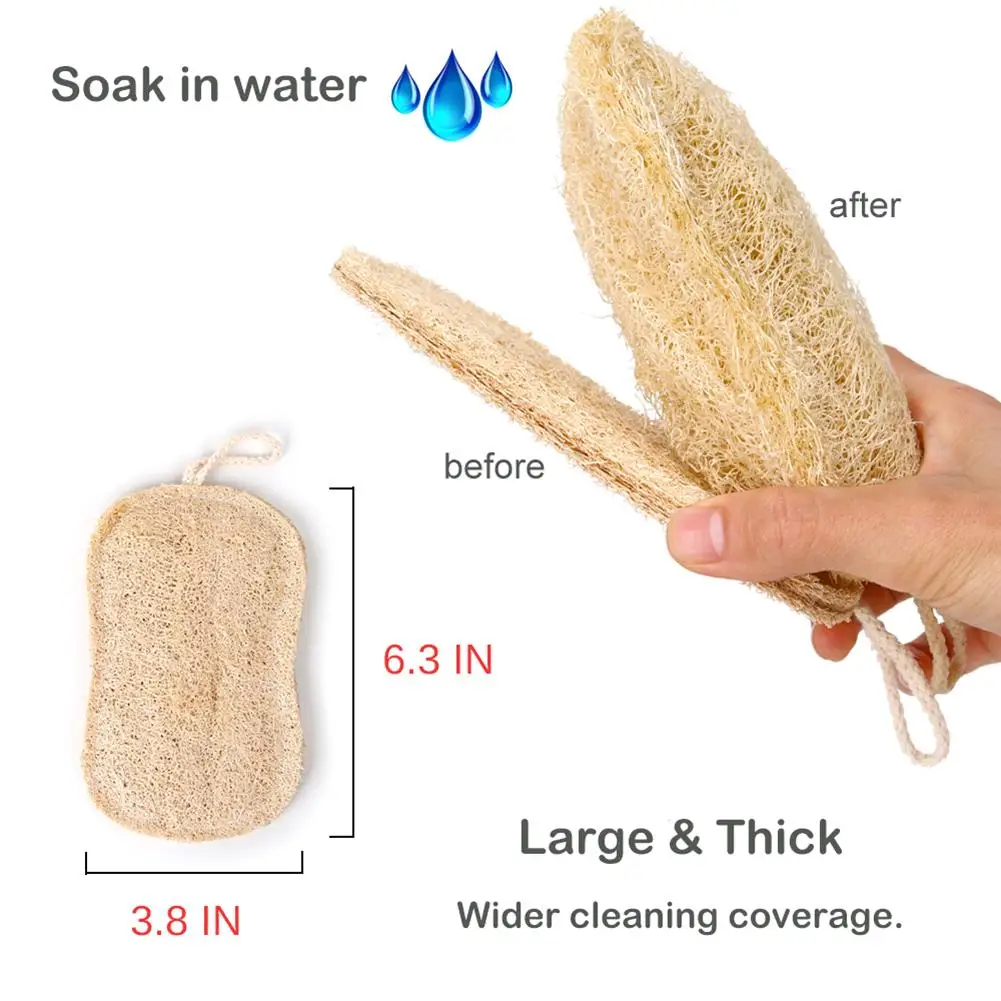 https://ae01.alicdn.com/kf/H52e27181996449c58e005f2b08caffa2t/Natural-Loofah-Kitchen-Sponge-Biodegradable-Loofah-Dish-Sponge-Non-Scratch-Durable-Loofah-Plant-Compostable-Dishwashing-Artifact.jpg