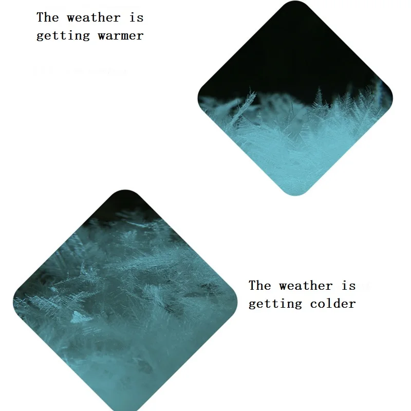 11669985904_1993943304