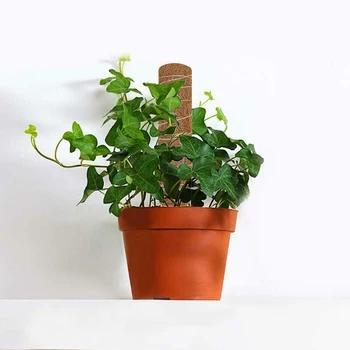 

New Hot 30/45CM Coconut Totem Pole Extendable Moss Stick Coir Totem Pole for Stand Plant Extension Climbing Indoor Plant SMR88