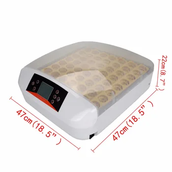 

56 Chicken Duck Eggs Incubator Fully Automatic LED light Digital Turning w/Candler Light 110V/220V