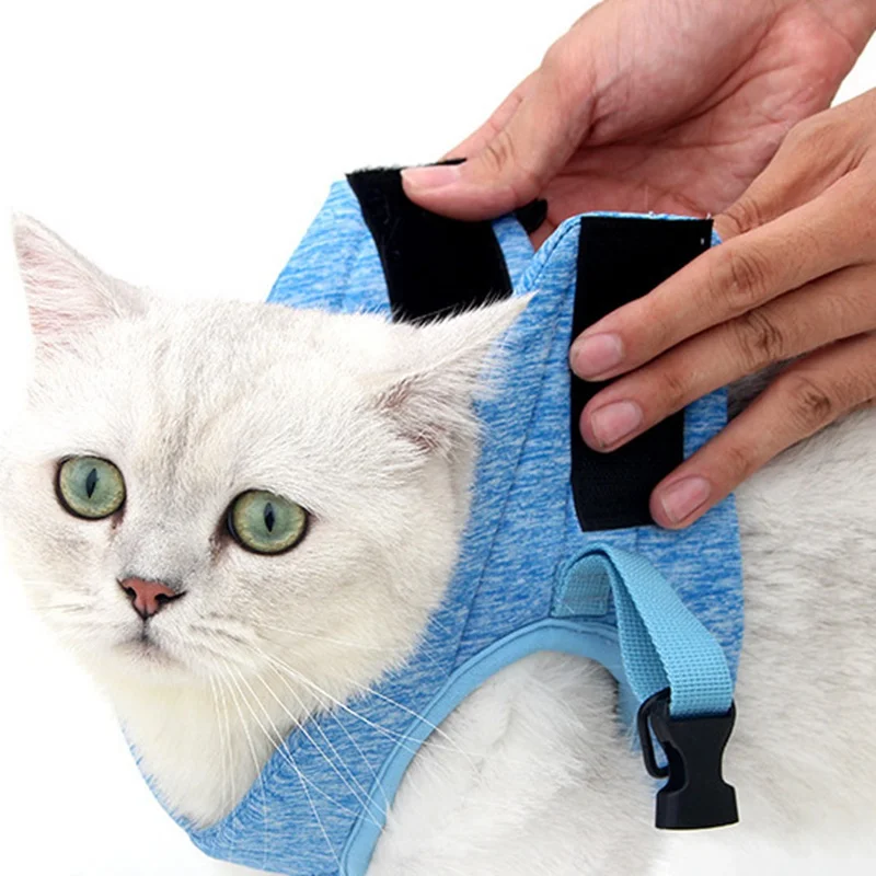 Harnais En Maille Douce Ajustable Pour Chat Veste Anti Fuite Pour Petit Chat Et Chien Avec Sangle Reflechissante Aliexpress Harnais En Maille Douce Ajustable Pour Chat Veste Anti Fuite Pour Petit Chat Et Chien Avec Sangle Reflechissante Aliexpress