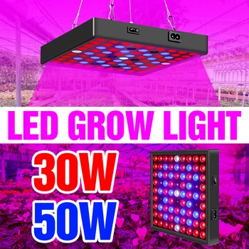 

BiaRiTi Grow LED 50W 30W Full Spectrum Plant Lamp Indoor Growing Phyto Lamp 220V Growth Light Greenhouse Lighting 110V Fitolamp