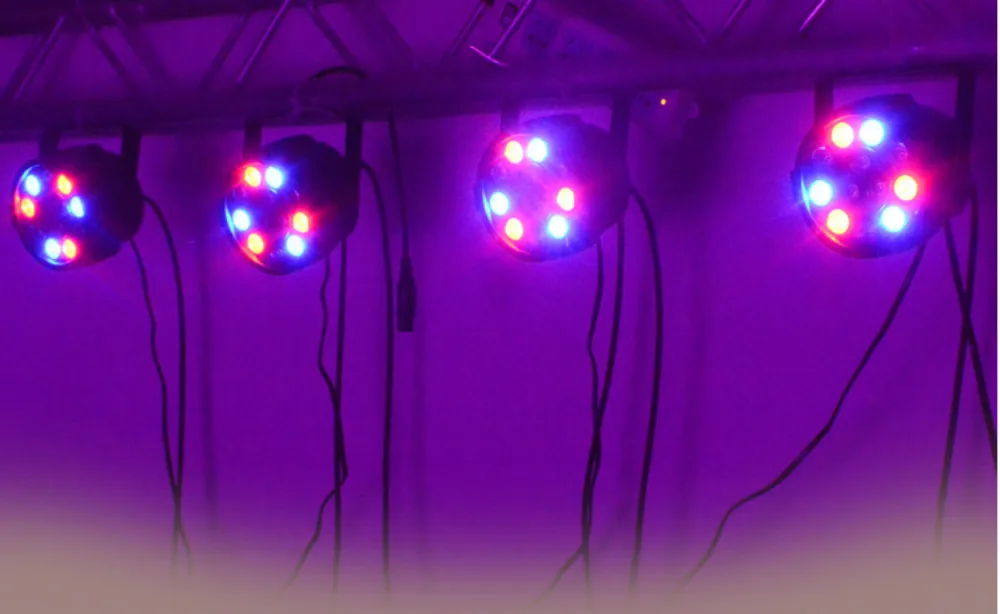 4553902345_1827612602