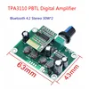 TPA3110 PBTL Amp