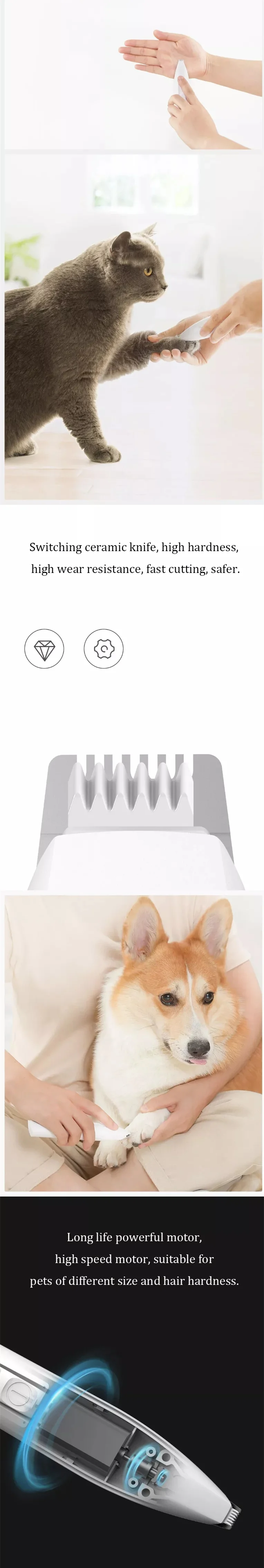 20190903_143624_042_副本