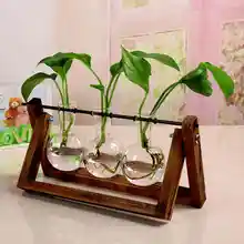 1 шт. стеклянный цветочный горшок прозрачная растительная Террариум стеклянная ваза с деревянной подставкой для украшения дома PAK55