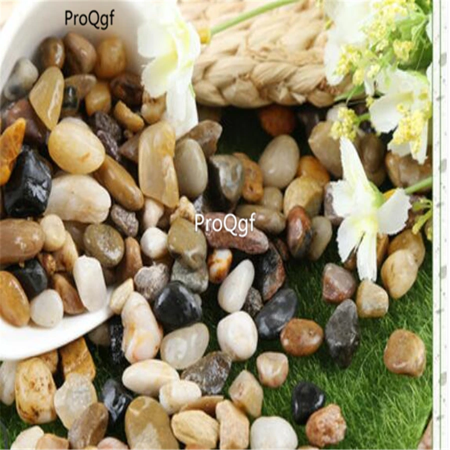 

ProQgf 300Gram A Set Garden Decoration Stone many choice