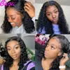 Lace Wigs