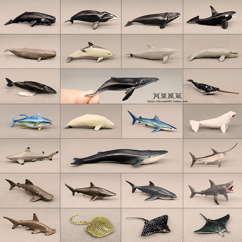 Sea World Mini Fishes Model 1