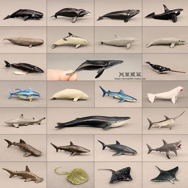 Sea World Mini Fishes Model 1
