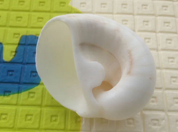 Естественные ракушки белый улитка аквариум украшения concha schelpen подарки decoracao fundo do mar