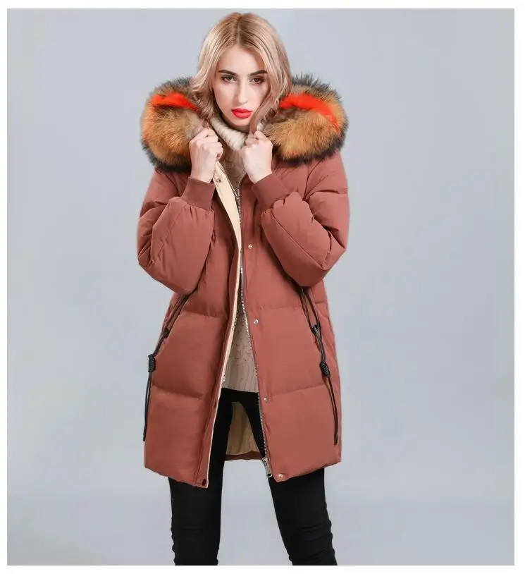 QQ截图20190922122556