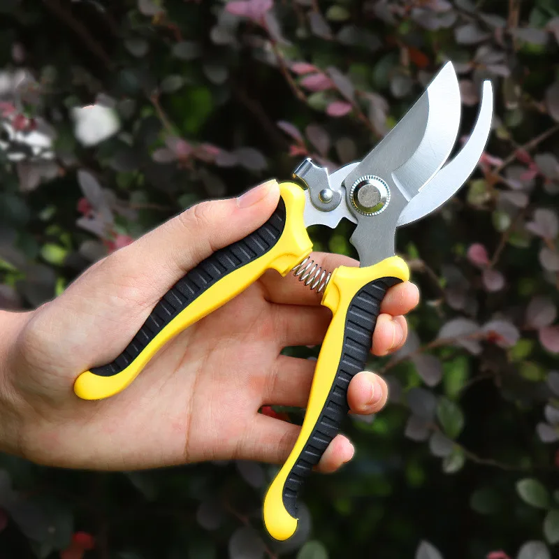Herramientas de injerto para jardinería, tijeras de podar, cortador de hierba de árbol frutal, tijeras de podar para jardín, herramienta para bonsái