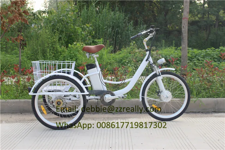 tricycle bike (5)