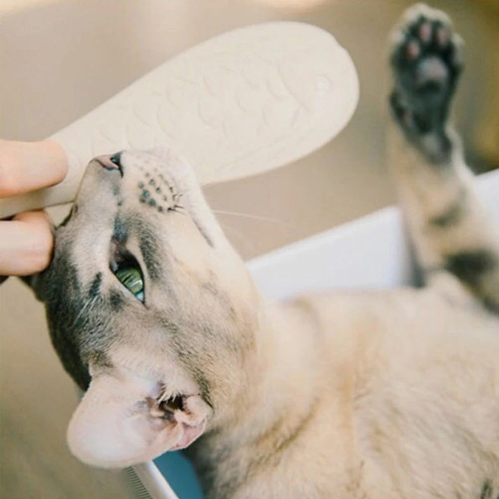Pet Kitten Portable Simulation Cats Tongue Massage Comb Brush Grooming Tool Cat Brush Massage Pet grooming supplies