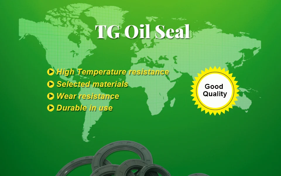 1 skeleton oil seal