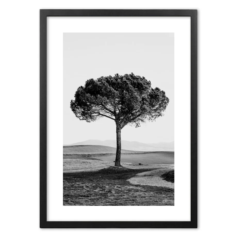 Черно-белое дерево фотографии стены искусства печати бумаги живопись