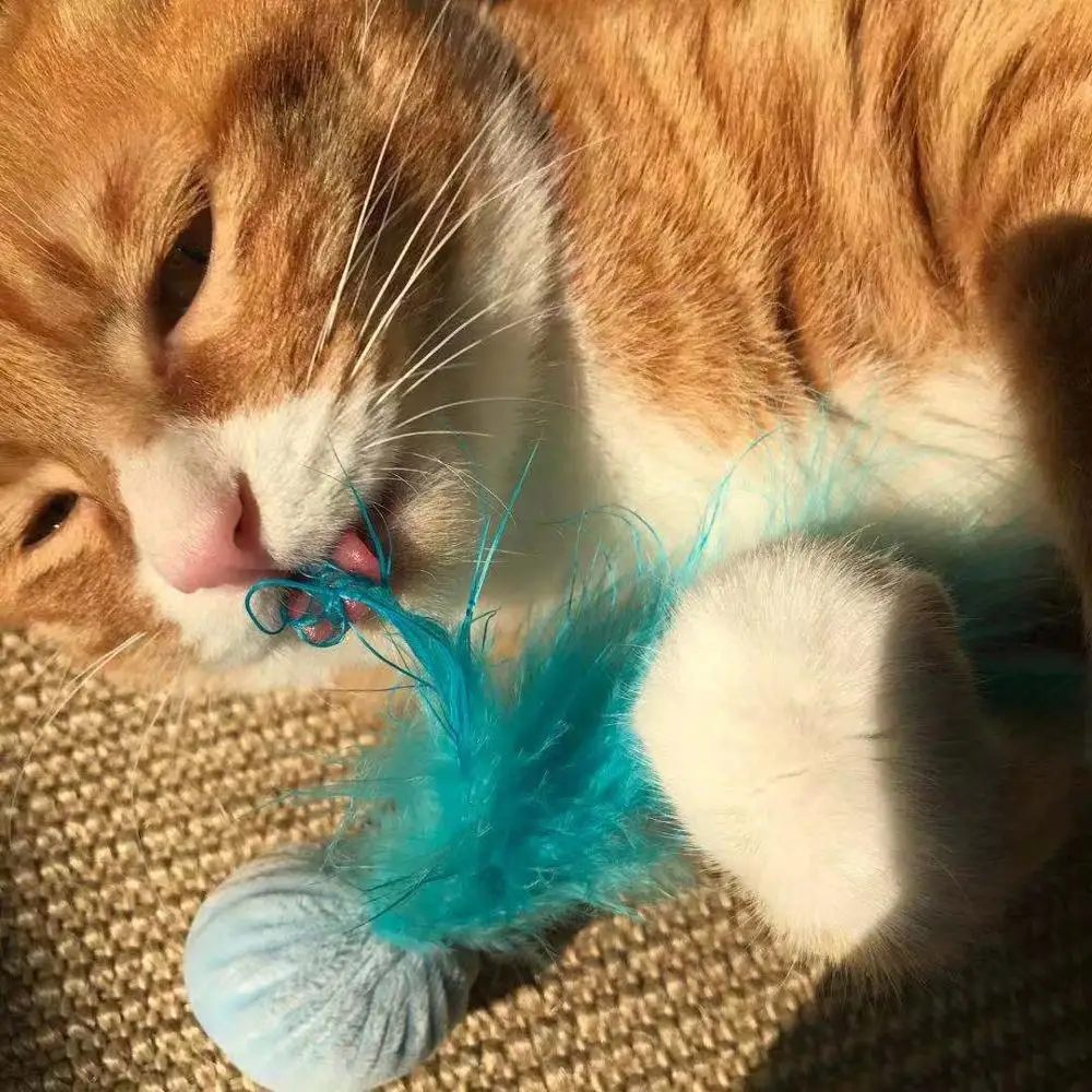 Chaton Catnip Hoopet интерактивная игрушка для кошек туннель товары для животных товары для собак Petshop игрушки для кошек - Цвет: Синий