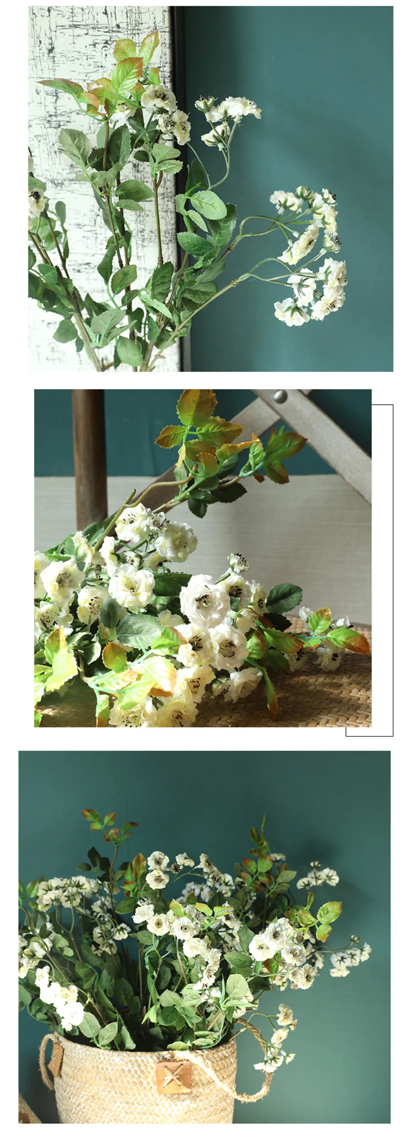 14255264348_1245478559