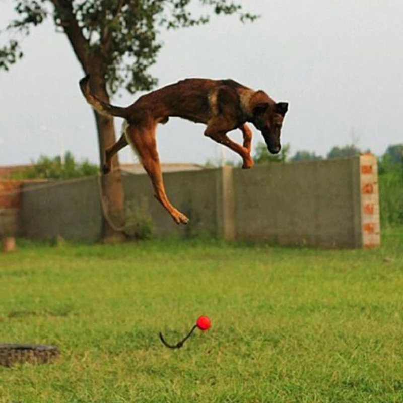 Indestructible Dog Ball on a Rope Pet Puppy Tug Balls Toys Pet Chew Toys Dog Training Toy Solid Rubber Balls
