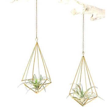 

Hanging Tillandsia Air Plants Rack Wrought Iron Geometric Flower Stand Holder Air Plants Holder Triangular Shaped Metal Rack