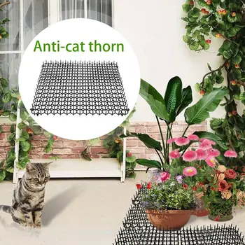 

5 pieces of environmentally friendly gardening plastic anti-cat thorns cat and dog repellent pad plastic nails