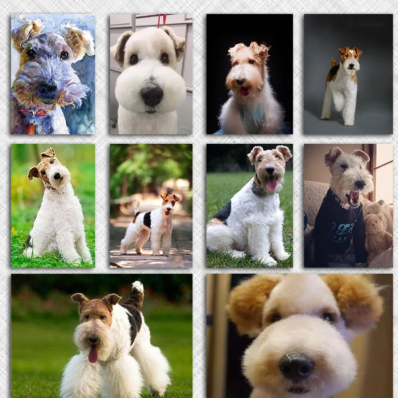 

5d Full Round Diamond Embroidery Dog Pattern Diamond Painting Bristle Fox Terrier Christmas Diamond Mosaic Paintings Cute Dogs