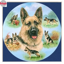 Фото на заказ 5D DIY Алмазная вышивка, животное немецкая овчарка Собака Животное алмазная живопись, вышивка крестиком, 3D, Алмазная мозаика, хобби подарок
