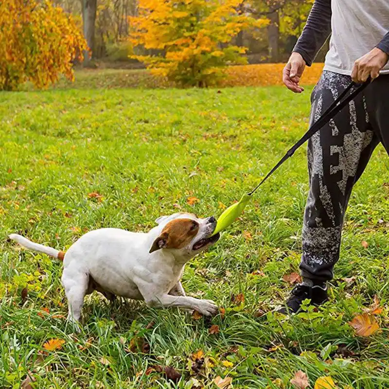 dog hose pipe toy