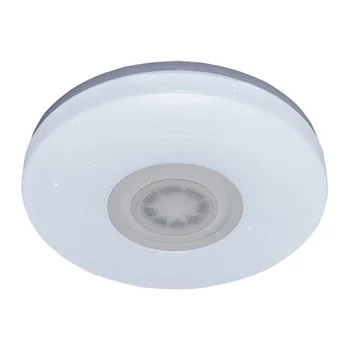 

Music Ceiling Light LED Round Indoor Flush Mount Ceiling Dimmable Lamp for Home