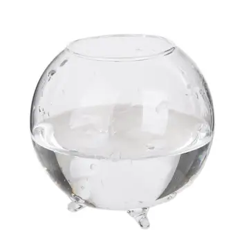 

Fashion Cute Bracket Round Glass Vase Hydroponic Glass Vase Flower Home Decorations Simple Style Home Decor