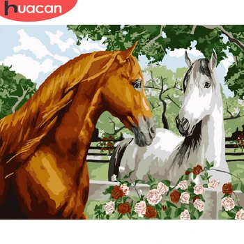 

HUACAN Pictures By Number Horse Drawing On Canvas HandPainted Painting Art Gift DIY Coloring By Number Animal Kits Home Decor