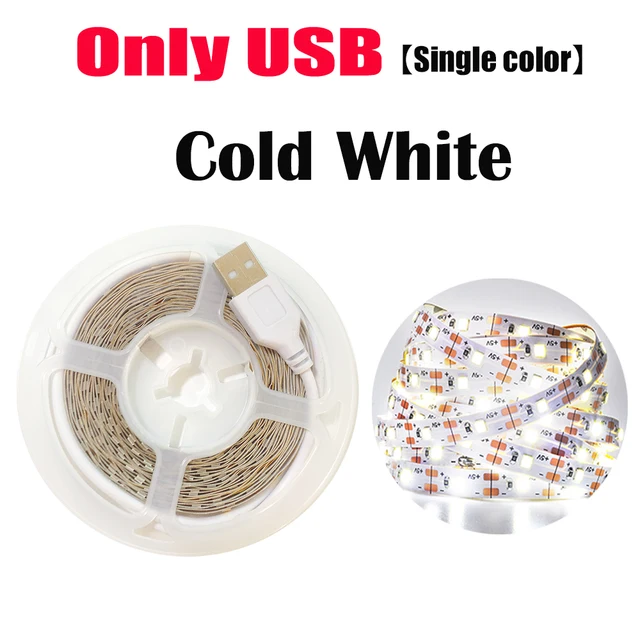 Bluetooth Control RGB 5050 2835 LED Lights Strip USB 5V Flexible Lamp Tape Diode Festival Fita White Tira Luces TV PC Desk Luz Onlly USB Cold White