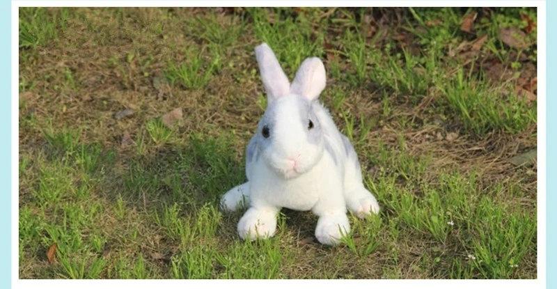 Simulation Bunny Plush Toy Decoration Cute Little White Rabbit Baby Model Ragdoll Doll for Children's Day Gift 30x17cm DY50822 (12)