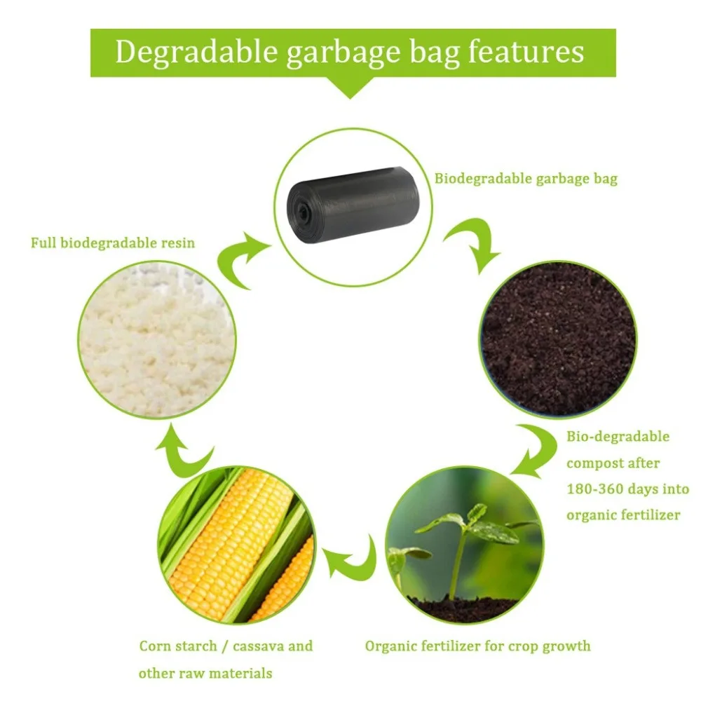 CCS200304002_1001514962818948904