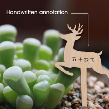 

50pcs Bonsai Classification Tool Sign Succulent Flowers Garden Markers Wood Plant Labels Seedling Tags Ornaments Nursery Pots