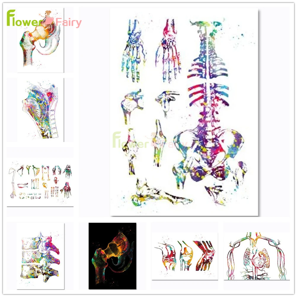 

Colorful Limb Anatomy Bone Medicine Nordic Poster Orthopedics Wall Art Canvas Painting Wall Pictures For Living Room Unframed