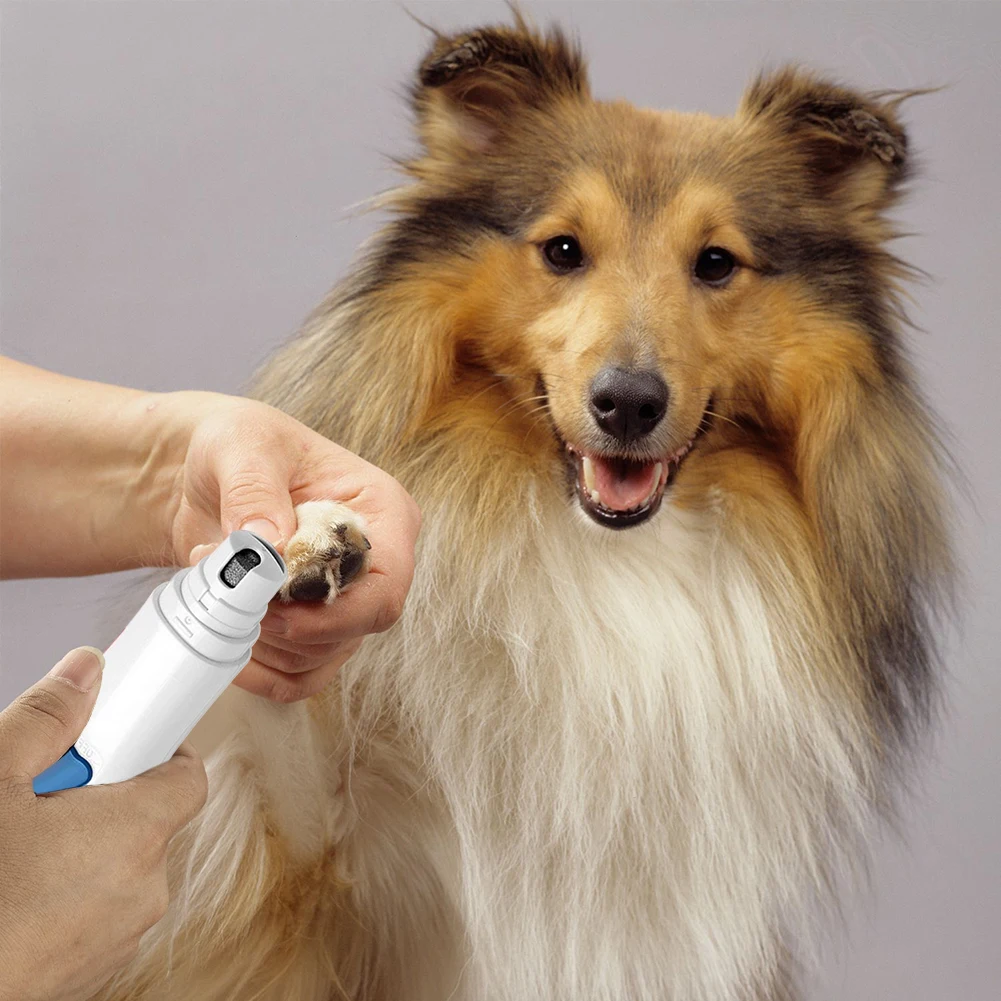 Qpets® Dog Nail Grinder, Professional Nail File Pet Nail Trimmer Stepless  Speed Regulation Pet Nail Grinder Electric Nail File for Large Medium Small  Dogs and Cat : Amazon.in: Beauty