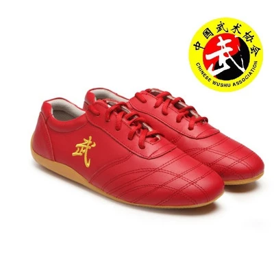 Unisex Adults Chinese Tai-Chi Wu Shu Kung Fu Shoes Basic Style for Daily Training Morning Exercises,Red,35 FJJLOVE Taekwondo Shoes 