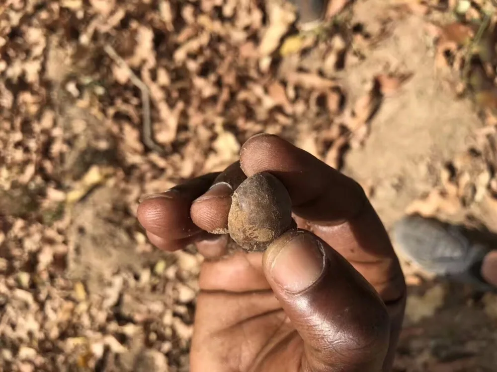 thumb