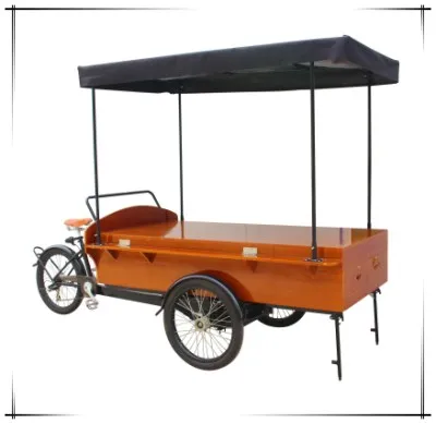 Китайский мобильный моторизованный грузовой велосипед тележка Электрический велосипед для торговли мороженым с батареей морозильник для продажи