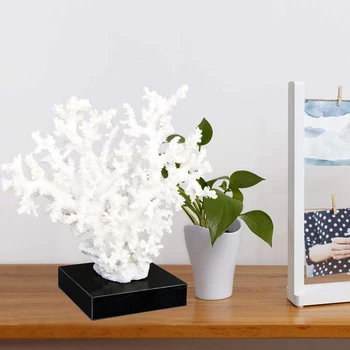 

Realistic Coral Statue with Base,11.8 Inch, Resin White Sea Coral Home Office Décor Ornament Aquarium Accent Collection