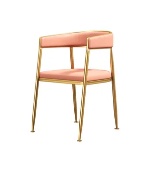 

Northern Europe Light Luxury Dining Chair Home Modern Simple Leisure Ins Net Red Hotel Restaurant Designer
