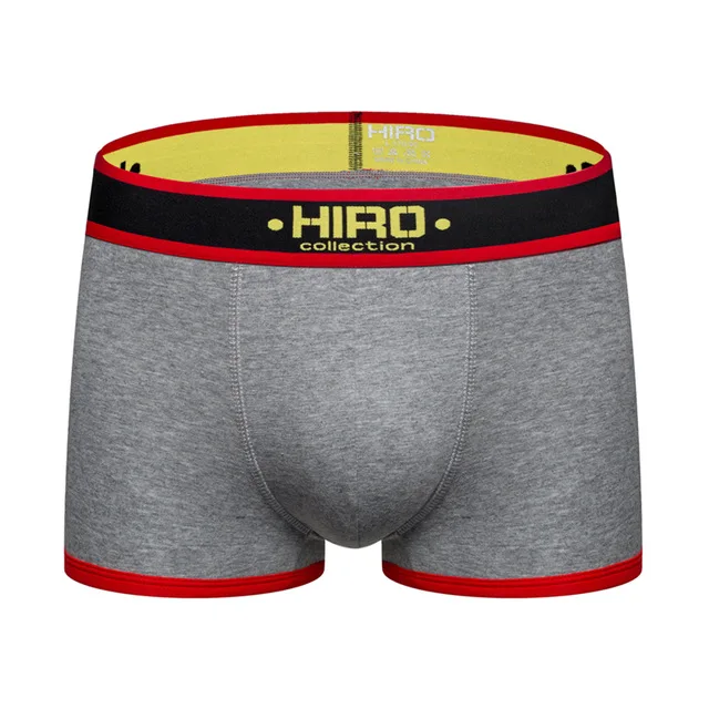 HIRO, сексуальное мужское нижнее белье, сетчатые трусы-боксеры, Cueca, Мужские дышащие мягкие хлопковые трусы, нижнее белье для мужчин, высокое качество - Цвет: G138-Gary