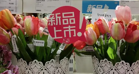 aeProduct.getSubject()