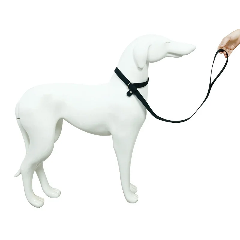 How Do You Clean A Dogs Chain