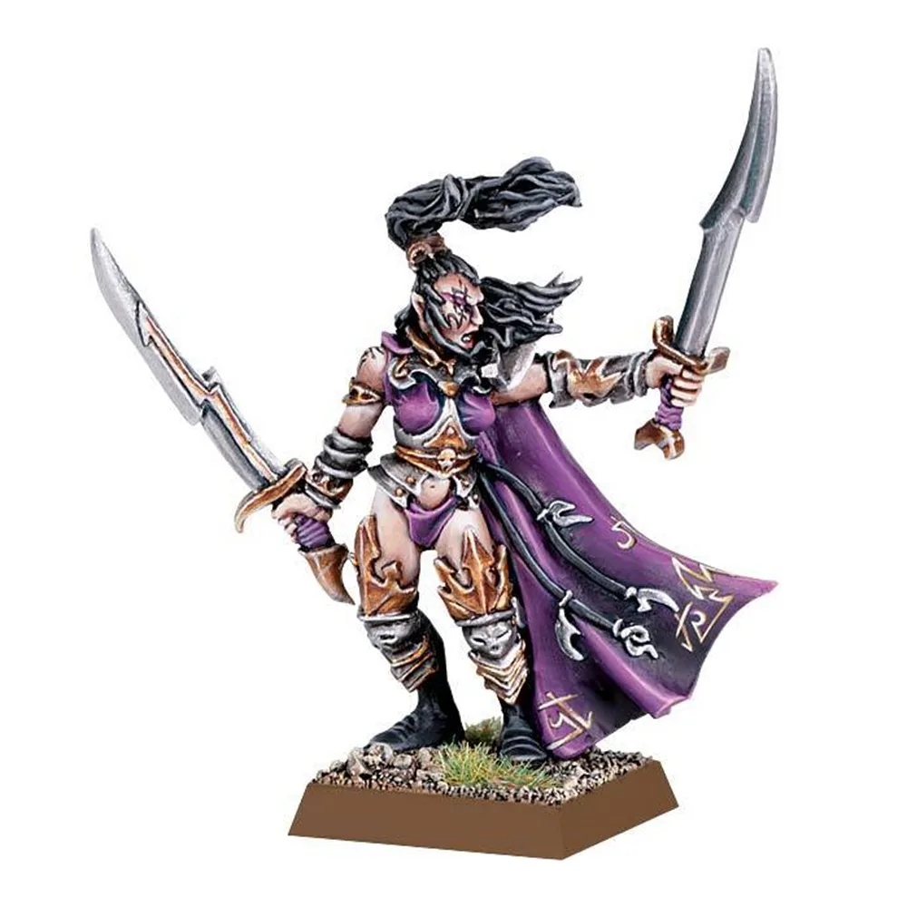 

Dark Elf Dreadlord with additional Hand Weapon