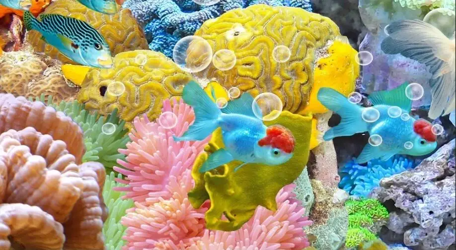 QQ截图20191109223942