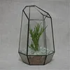 Geometric Irregular Glass Terrariums Tabletop Miniature Garden Vase Quartz Shape Solder Green House Plant  Home Decorating 3