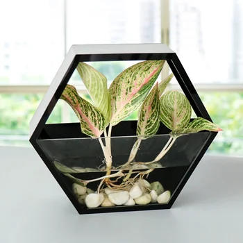 

Nordic Style Wall-mounted Pot Hydroponics Hexagon Flower Pot Wall Hanging Wall Fish Tank Acrylic Simple Craft Home Decoration